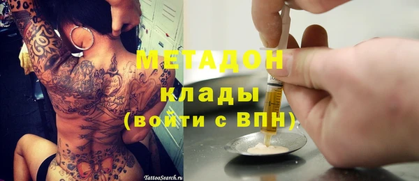 прущие грибы Алзамай