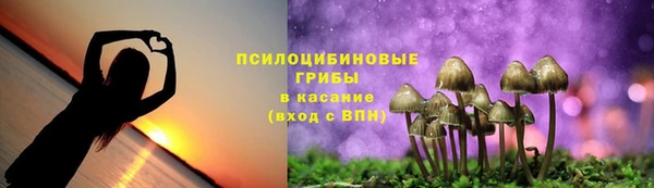 мяу мяу кристалл Алексин