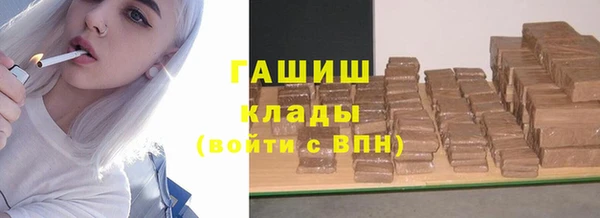 прущие грибы Алзамай