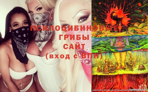 ECSTASY Алексеевка