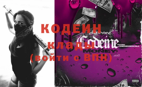 прущие грибы Алзамай