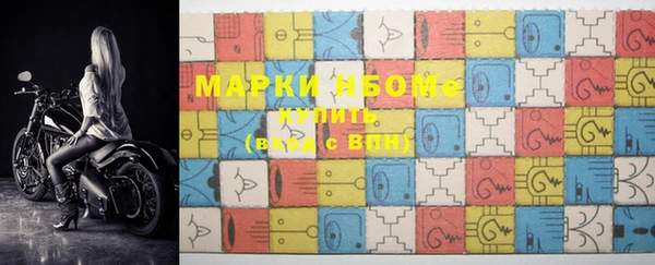 прущие грибы Алзамай