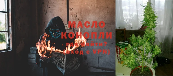 прущие грибы Алзамай