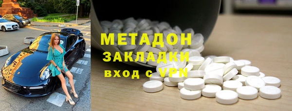 прущие грибы Алзамай